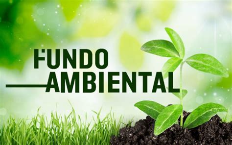 candidatura fundo ambiental